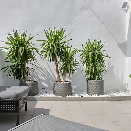Sunny Cozy Penthouse With A Terrace At Plaza Del Carmen Διαμέρισμα Βαλένθια Εξωτερικό φωτογραφία
